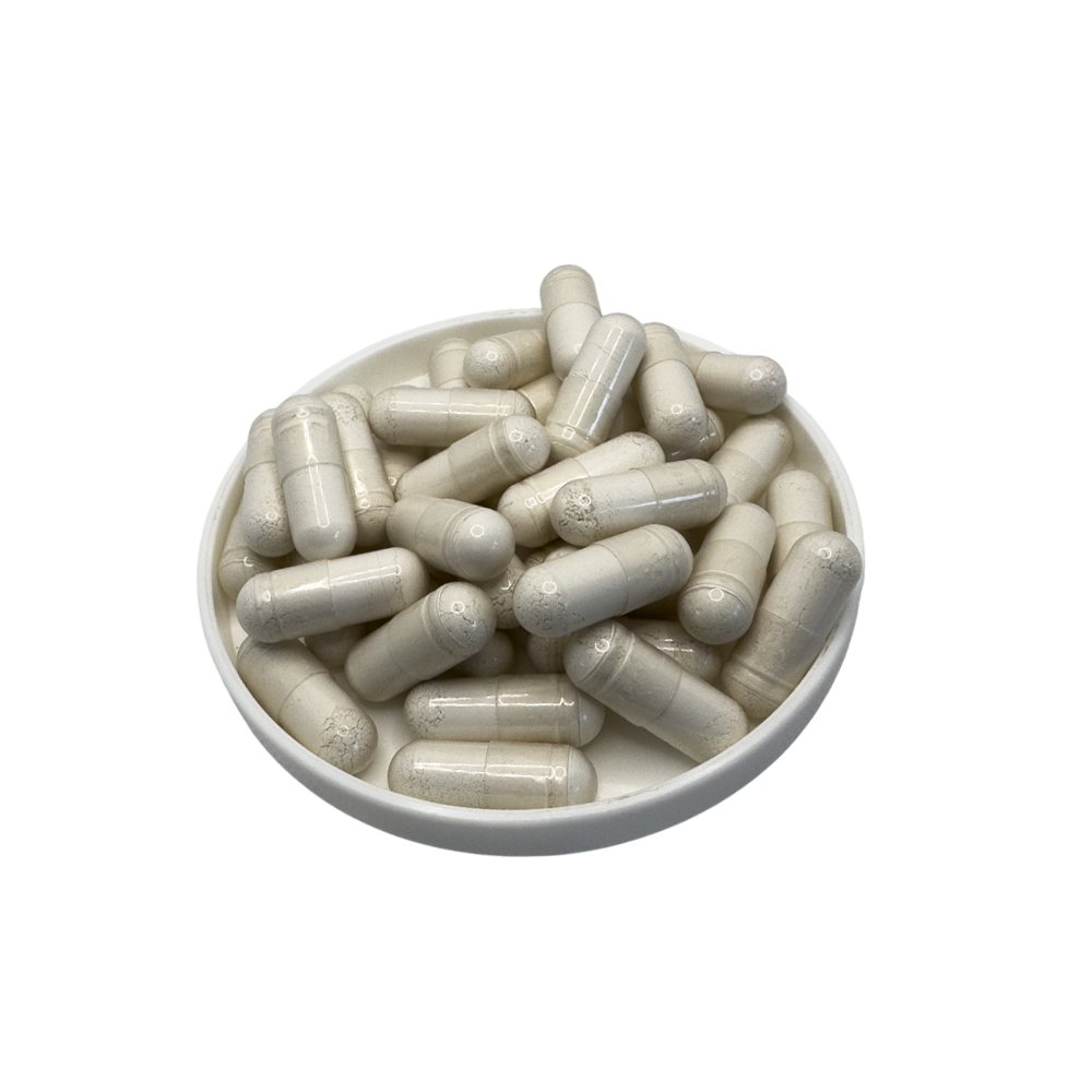 Fossil Shell Flour (Diatomaceous Earth)